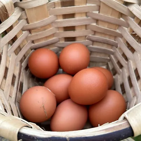 La Quintana De Figares Daire Luarca