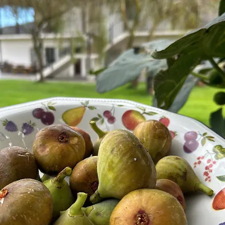 아파트 La Quintana De Figares *