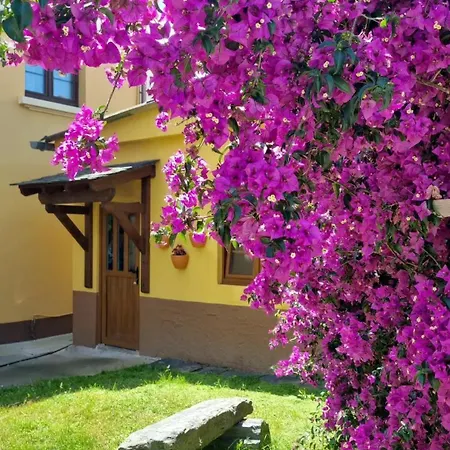 La Quintana De Figares Луарка